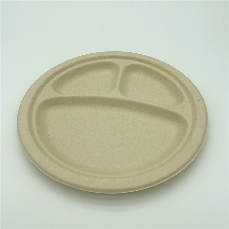 Biodegradable food container (1)