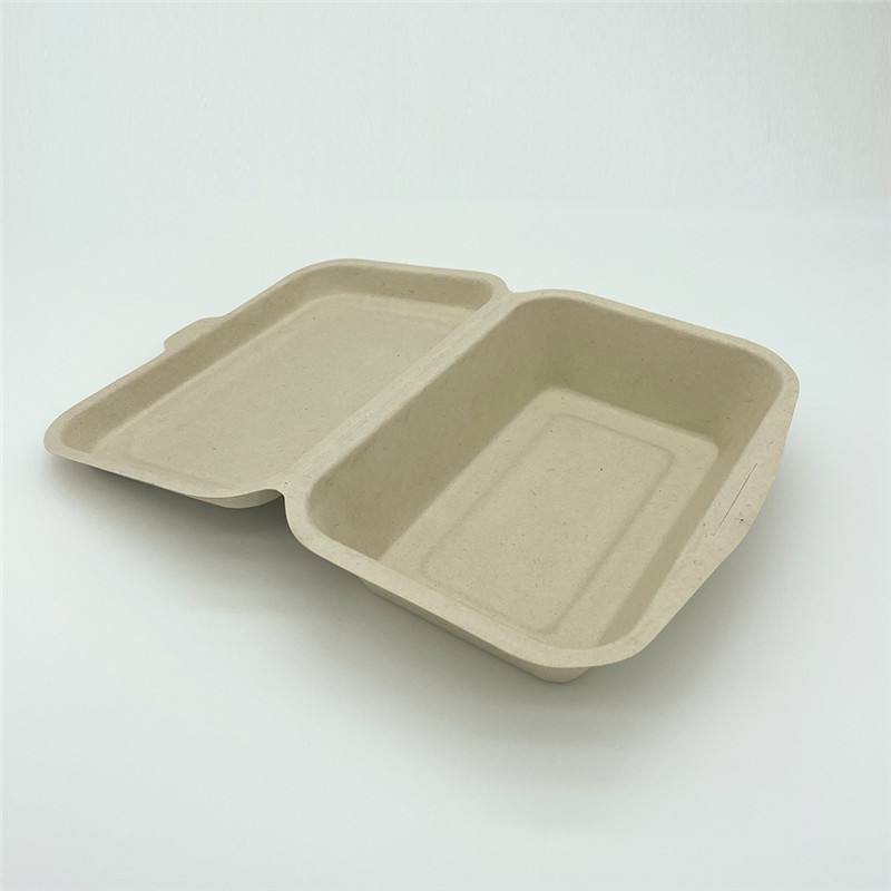 Biodegradable food container (4)